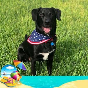 Meet your Posher, Sylvia